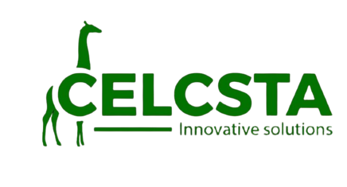Celcsta Logo